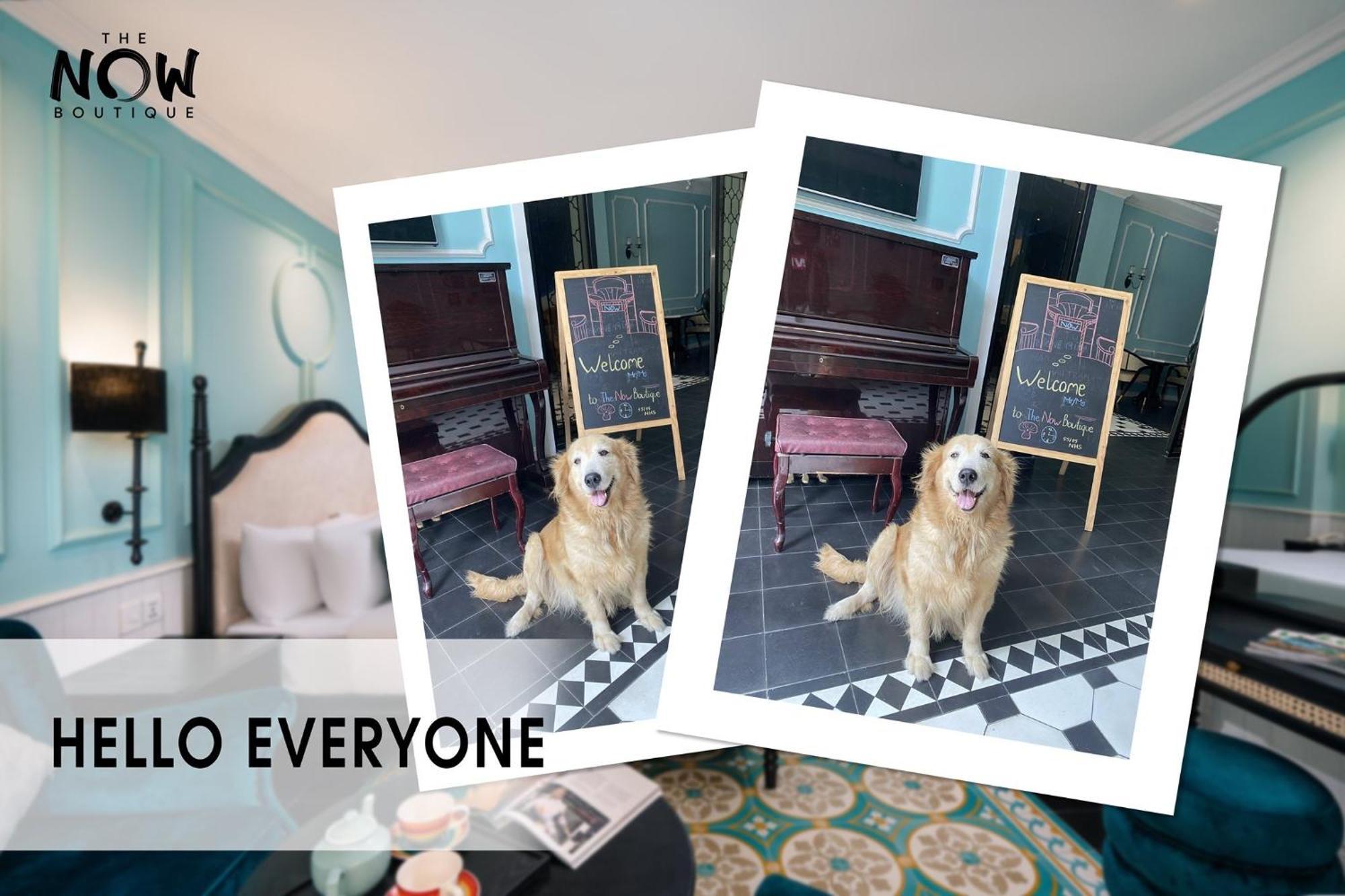 The Now Boutique Hotel & Apartment Da Nang Zewnętrze zdjęcie